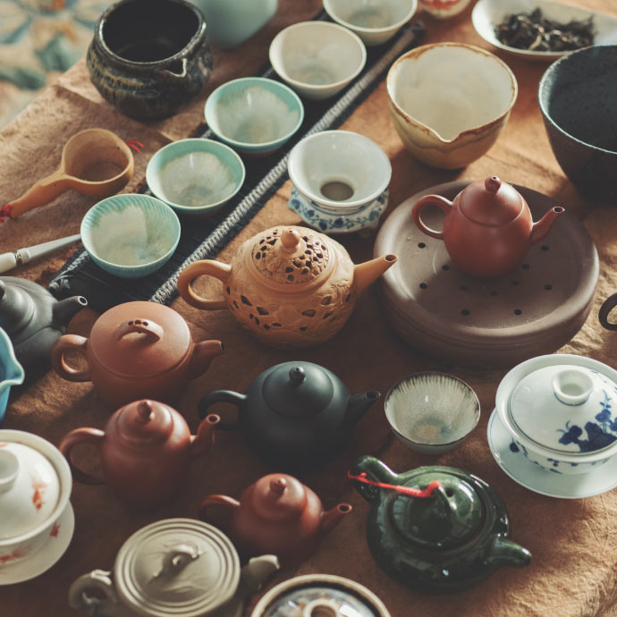 Camellia Nico Teaについて