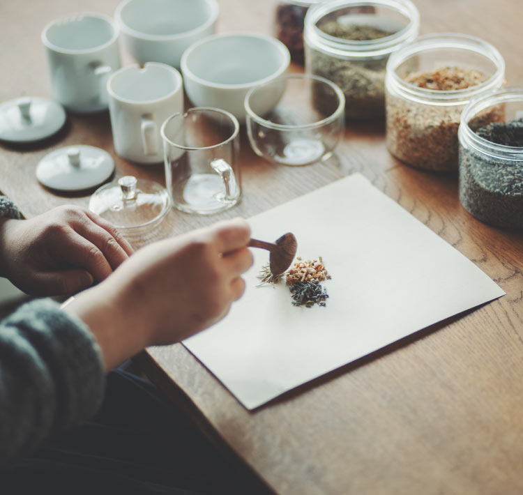 Camellia Nico Teaについて